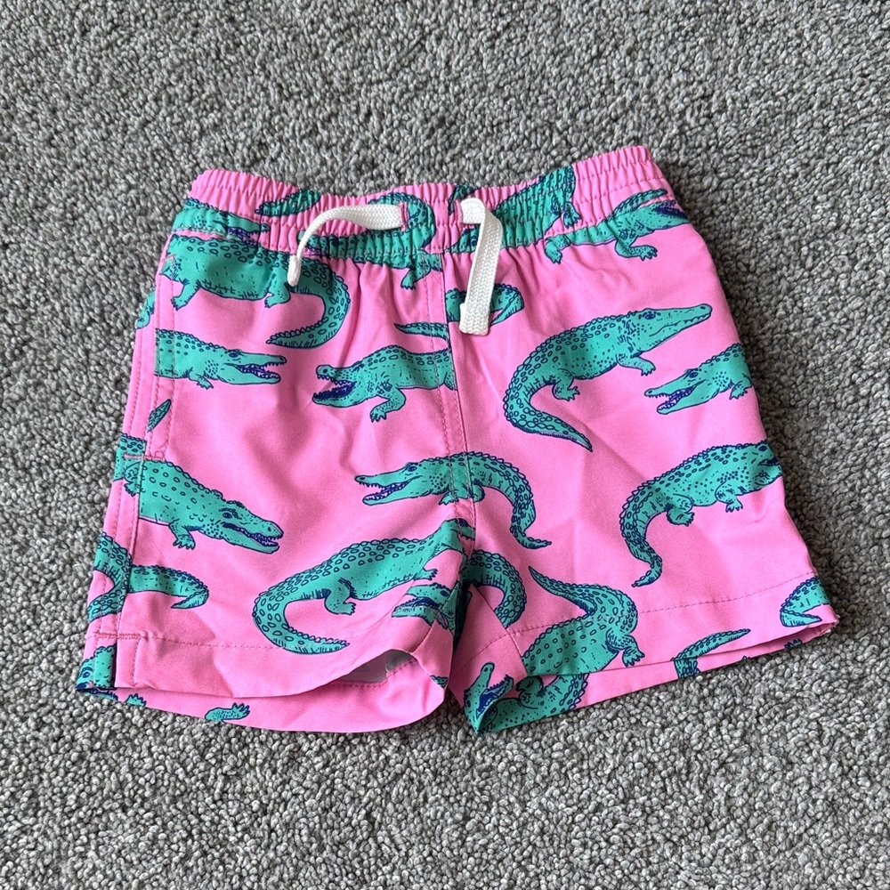 Chubbies Swim Trunks
